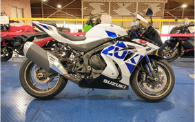SUZUKI GSX-R1000R 2019 DM11G