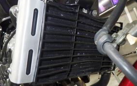 HONDA HORNET 250 MC31