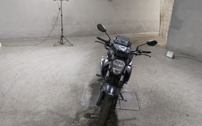 SUZUKI JIKUSA-250 ED22B