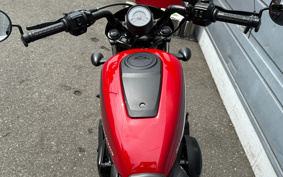 HARLEY  HARLEY RH975 NIGHT  STAR  2022 ZH1