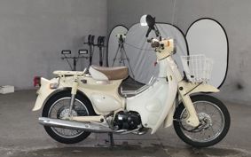 HONDA LITTLE CUB AA01