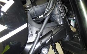 TRIUMPH TRIDENT 660 2025