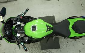 KAWASAKI NINJA 250 EX250P