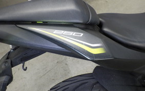 KAWASAKI NINJA 250 SL 2007