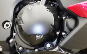 KAWASAKI NINJA 1000SX 2024 ZXT02K