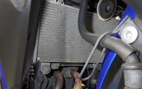 KAWASAKI NINJA 250 EX250L