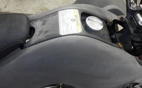 OTHER +UNREGISTERED MODEL by BDS TRIKE250 GW