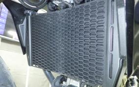 DUCATI HYPERMOTARD698モノ 2024