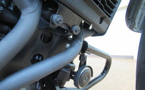 HONDA REBEL 1100 DCT 2021 SC83