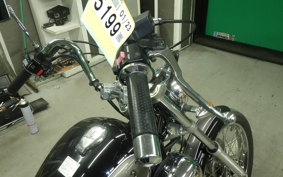 YAMAHA VIRAGO 250 2024 3DM