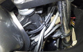 KAWASAKI NINJA 250 ABS EX250L