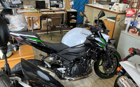 KAWASAKI Z250 EX250P