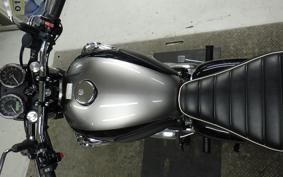 KAWASAKI W800 2024 EJ800E