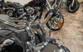HARLEY FXDLI 2015 GN4