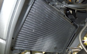 HONDA NX400 2024 NC65
