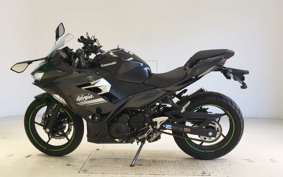 KAWASAKI NINJA 250 EX250P