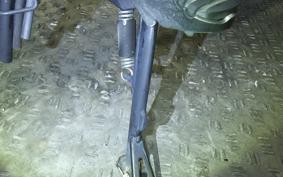 HONDA CRF1100L AFRICA TWIN DCT 2020 SD10