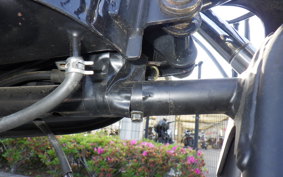 OTHER UNREGISTERED MODEL by BDS250