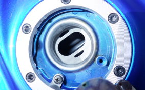 KAWASAKI NINJA 250 EX250L