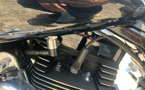 HARLEY FLHXSE CVO 2015 PXN