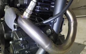 KAWASAKI KLX230SM 2024 LX232A