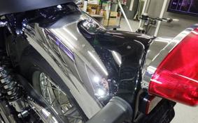 KAWASAKI W800 2025 EJ800E