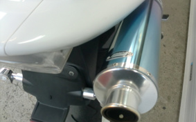 HONDA HORNET 250 MC31