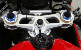 DUCATI 1199PANIGA-RES 2012