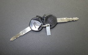 HONDA ﾀﾞﾝｸ 2008 AF78