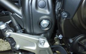 YAMAHA TENERE 700 2024 DM13J