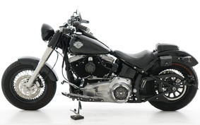 HARLEY FLS 2012 JR5