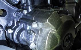 SUZUKI Vｽﾄﾛｰﾑ250SX 2019