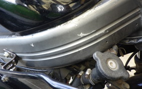 KAWASAKI ZZ-R250 EX250H