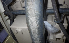 HONDA GIORNO 2 2006 AF70