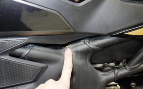 KAWASAKI ZX-25R 2020 ZX250E