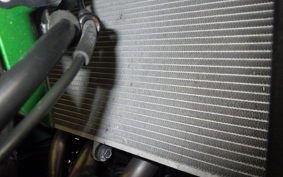 KAWASAKI NINJA 1000 A 2019 ZXT00W