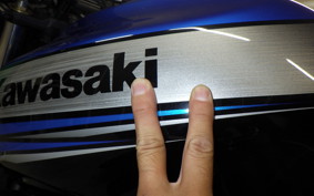 KAWASAKI ZRX1200 D 2010 ZRT20D