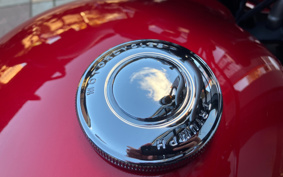 TRIUMPH SCRAMBLER 2022 DAD78G