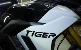 TRIUMPH TIGER 900 RALLY PRO 2026