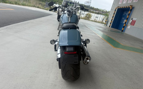 HARLEY FLFBS 2025 YGK