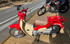 HONDA SUPER CUB50 AA09
