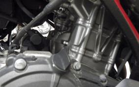 HONDA CBR250RR 1996 MC51