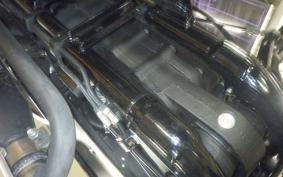 OTHER +HD. XL1200X 2021