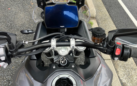 TRIUMPH TIGER 900GT PRO 2024 TRC82D