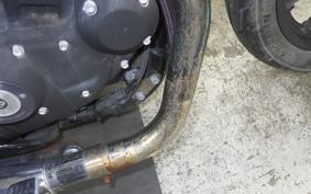 HARLEY XL883N 2010