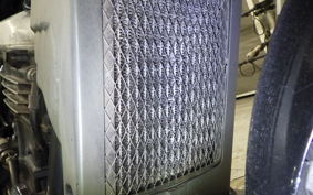 KAWASAKI ELIMINATOR 250 SE