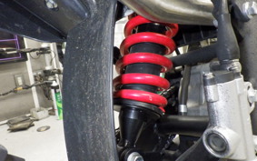 OTHER +UNREGISTERED MODEL by BDS125 2026