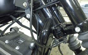 HARLEY XL883N 2017