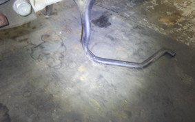 SUZUKI ADDRESS V50 G