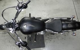 HARLEY XL883LI 2013